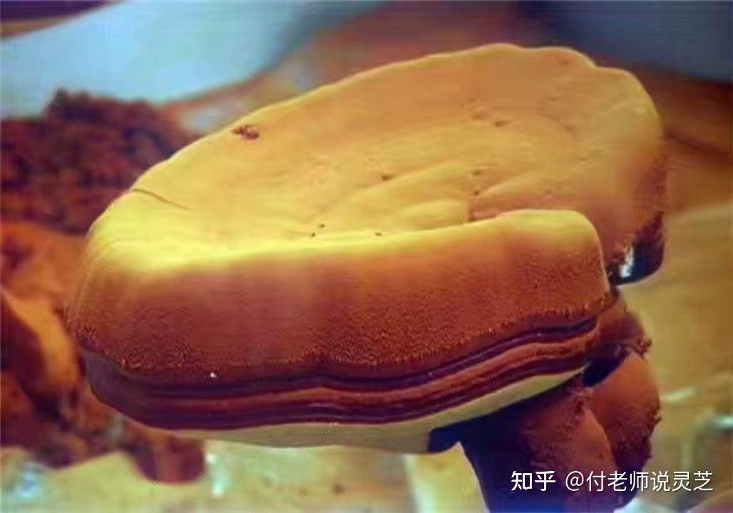 法式红莓巧克力酱适合哪些人群食用