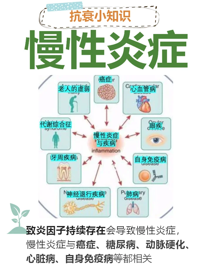 金年会官网-寿司与抗炎饮食的关系